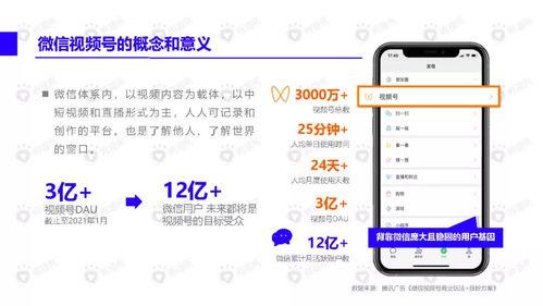 断桥网友爆料视频大全下载,揭秘网络热点背后的真相  第2张