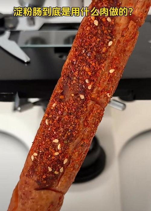 淀粉肠最新爆料图片,揭秘网红美食背后的真相 第3张 淀粉肠最新爆料图片,揭秘网红美食背后的真相 第3张