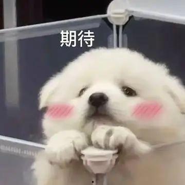 娱乐圈八卦吃瓜聊天记录,明星私生活大曝光  第2张