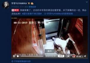 网红网友爆料视频大全,揭秘网络热点背后的真相  第3张