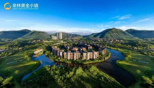 恩平最新爆料,揭秘背后惊人真相 第2张 恩平最新爆料,揭秘背后惊人真相 第2张