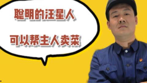 搞笑爆料村长视频下载,笑料百出，欢乐无限