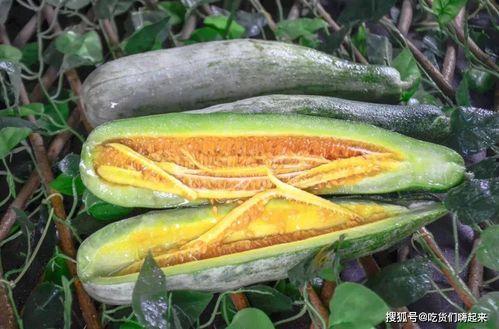 临夏网红吃瓜,揭秘当地美食背后的故事 第3张 临夏网红吃瓜,揭秘当地美食背后的故事 第3张