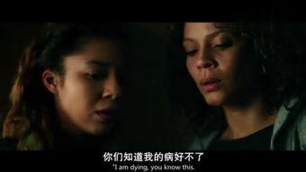 欧美电影免费在线观看,免费在线观影指南