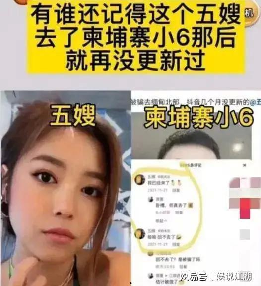 五嫂被害爆料视频,真相背后引人深思