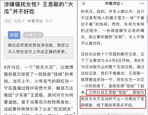 王思聪史诗爆料视频,一场史诗级爆料背后的真实故事