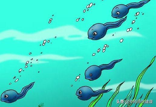 蝌蚪免费视频在线观看,蝌蚪免费视频，畅享无限学习之旅