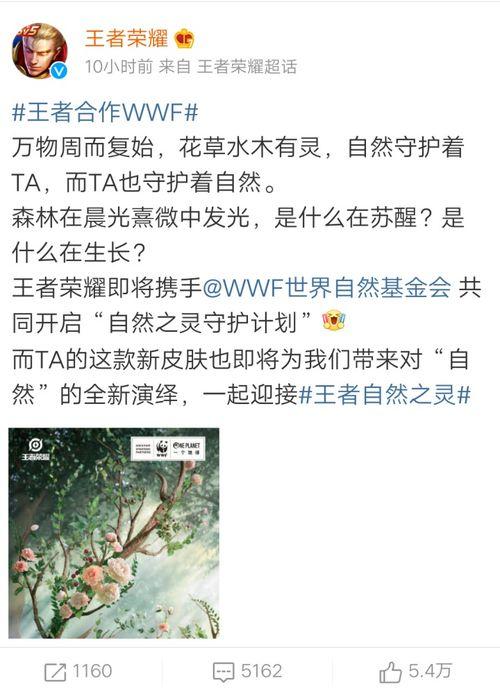 最新回响爆料,最新回响爆料背后的惊人真相 第3张 最新回响爆料,最新回响爆料背后的惊人真相 第3张