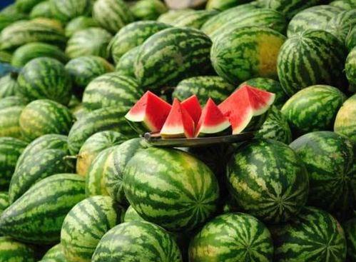 陇南康县网红吃瓜事件,一场网络狂欢背后的真相与反思 第2张 陇南康县网红吃瓜事件,一场网络狂欢背后的真相与反思 第2张