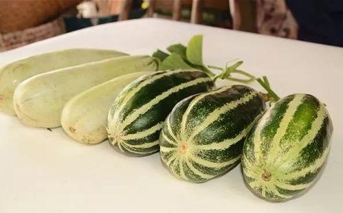 微信免费吃网红的瓜最新,揭秘微信新潮流! 第2张 微信免费吃网红的瓜最新,揭秘微信新潮流! 第2张