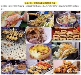 潍坊美食爆料视频下载大全,视频大全带你领略地道风味