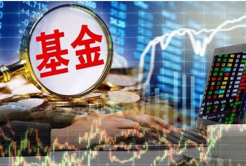 和平基金最新爆料新闻,揭秘重大国际和平项目进展