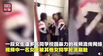 哈尔滨爆料女孩视频播放,哈尔滨爆料女孩视频引发热议