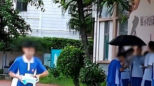 网友爆料金碧学校视频,揭秘校园真实情况