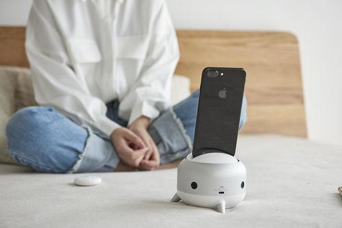 向佐弟弟爆料了吗视频下载,揭秘幕后的惊人真相