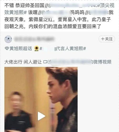 成毅狗仔爆料视频大全下载,揭秘明星幕后生活瞬间