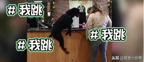 汪妈的13分钟爆料视频 第3张 汪妈的13分钟爆料视频 第3张