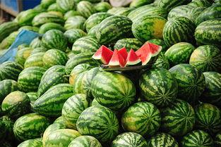 求个网红吃瓜网站名称,揭秘娱乐圈幕后真相，带你领略网络红人生态  第3张