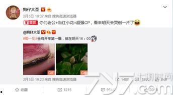 狗仔大圣最新爆料  第3张