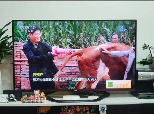 兽医爆料网红视频播放,网红视频背后的真实养殖内幕